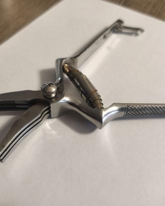 masticatore