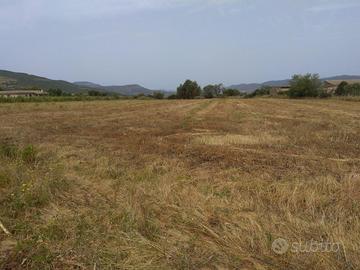 Nuxis - Terreno Edificabile