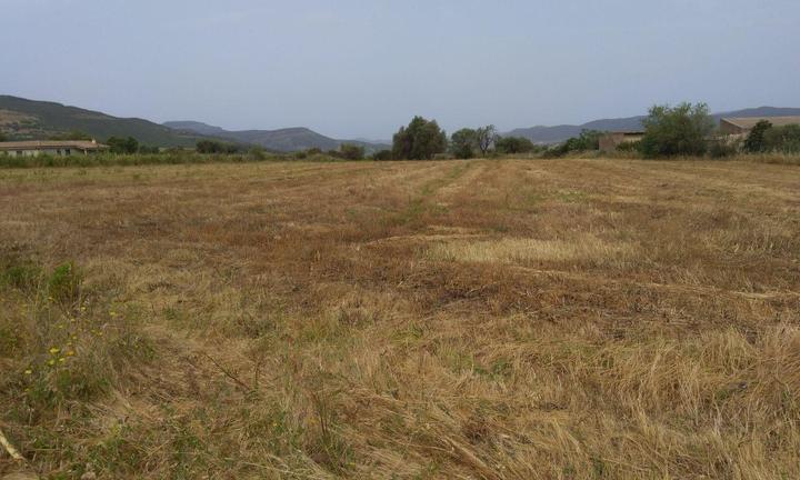 Nuxis - Terreno Edificabile