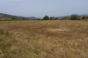 Nuxis - Terreno Edificabile