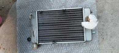 radiatore aprilia rsv mille 