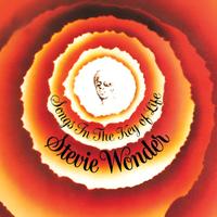 Stevie Wonder - Songs In The Key Of Life - Vinile