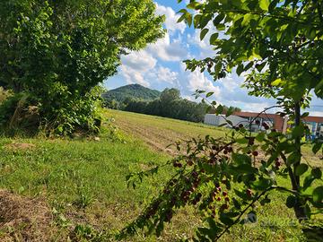 Terreno agricolo Abano Terme