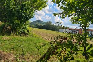 Terreno agricolo Abano Terme