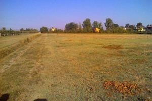 Terreno di 12000 m² a Nonantola