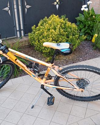 Bicicletta per bambino