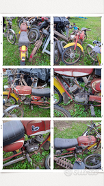 Ciclomotori d epoca vari modelli sportivi