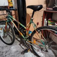 mountain bike da Donna 