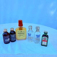 7 Bottiglie di Mignon vintage da collezione