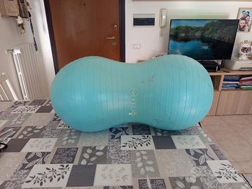 fitball (peanut ball)