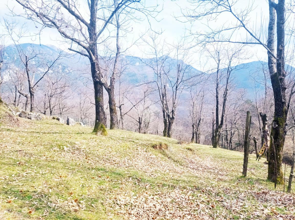 TER. AGRICOLO A SERINO - Vista 5