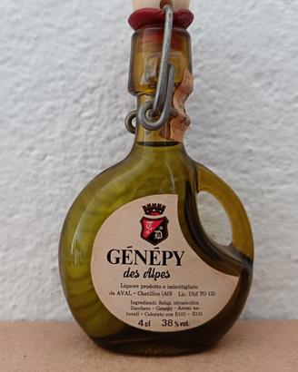 MIGNON GENEPY DES ALPES 
