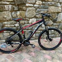 Bici Olmo