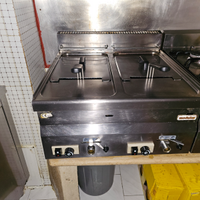 Friggitrice a gas 2 vasche 8L a vasca