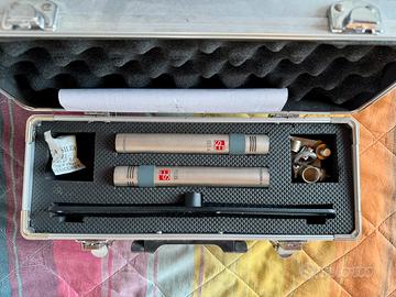 Coppia Microfoni Stereo SE1A