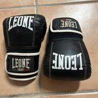guanti da box