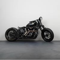 Harley-Davidson Softail Cross Bones - 2009