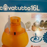 Incubatrice digitale cova tutto