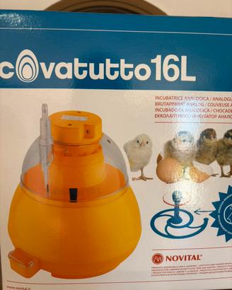 Incubatrice digitale cova tutto