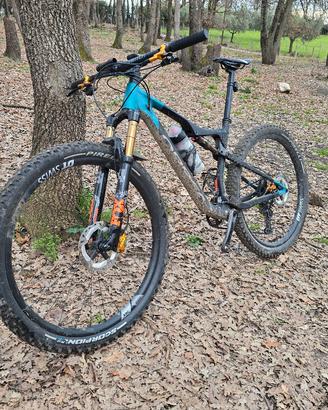 Orbea Oiz