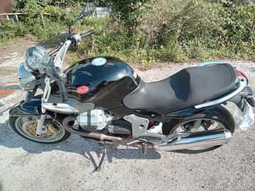 moto guzzi breva