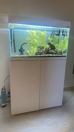 Acquario Completo, meno di un anno di vita
