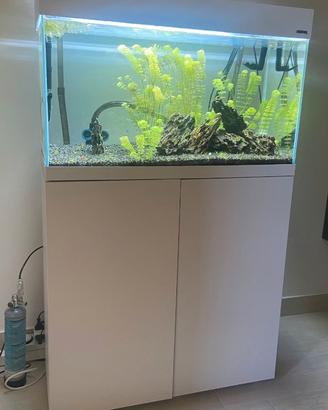 Acquario Completo, meno di un anno di vita