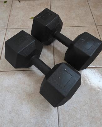 manubri 10 kg