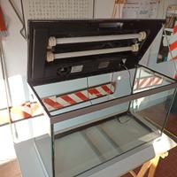 Terrario - Rettilario