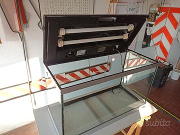 Terrario - Rettilario