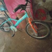 Bicicletta regal