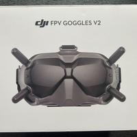 DJI Google V2 FPV