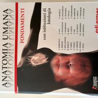 ANATOMIA UMANA - FONDAMENTI
