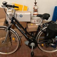 Bicicletta elettrica