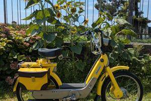 Piaggio Ciao PX restaurato giallo