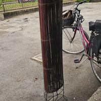 lampada ambient