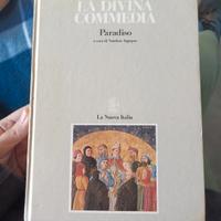 La Divina Commedia Paradiso, Sapegno