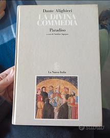 La Divina Commedia Paradiso, Sapegno