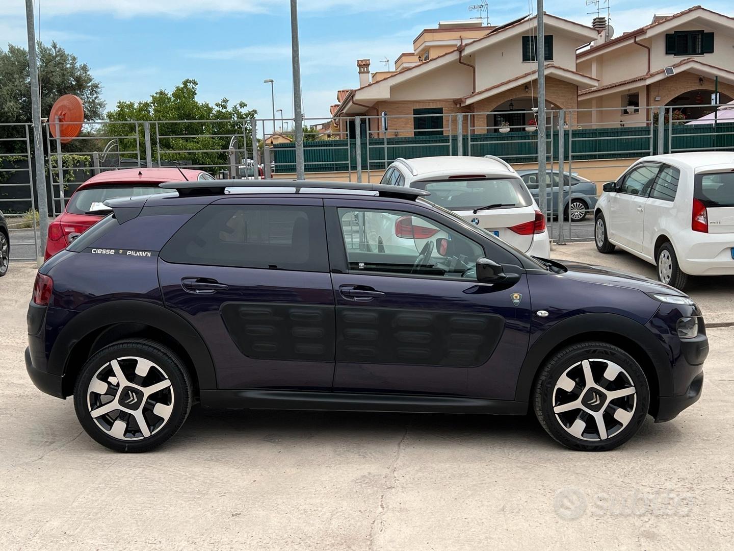 C4 cactus shop cs piumini