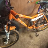 kona stinky 