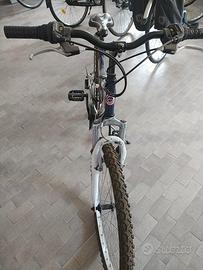bici ragazzo 