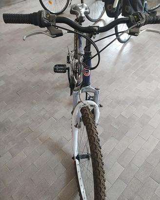 bici ragazzo 