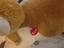 Immagine 2
