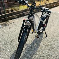E-BIKE Duotts F26Lite 960W