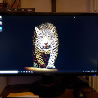 MONITOR GAMING ACER PREDATOR 4k nuovo 28"