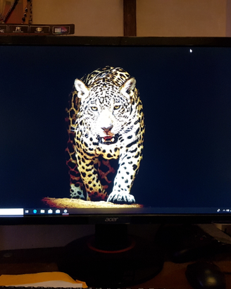 MONITOR GAMING ACER PREDATOR 4k nuovo 28"