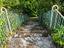 Immagine 10