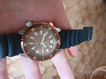 citizen  fugu promaster 