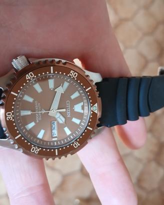citizen  fugu promaster 
