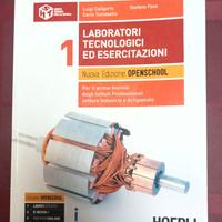 Laboratori tecnologici ed esercitazioni.